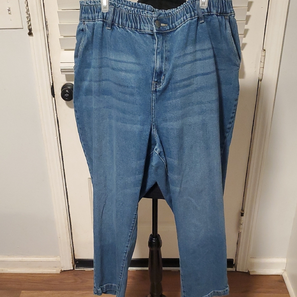 Lane Bryant Blue High Rise Mom Jeans